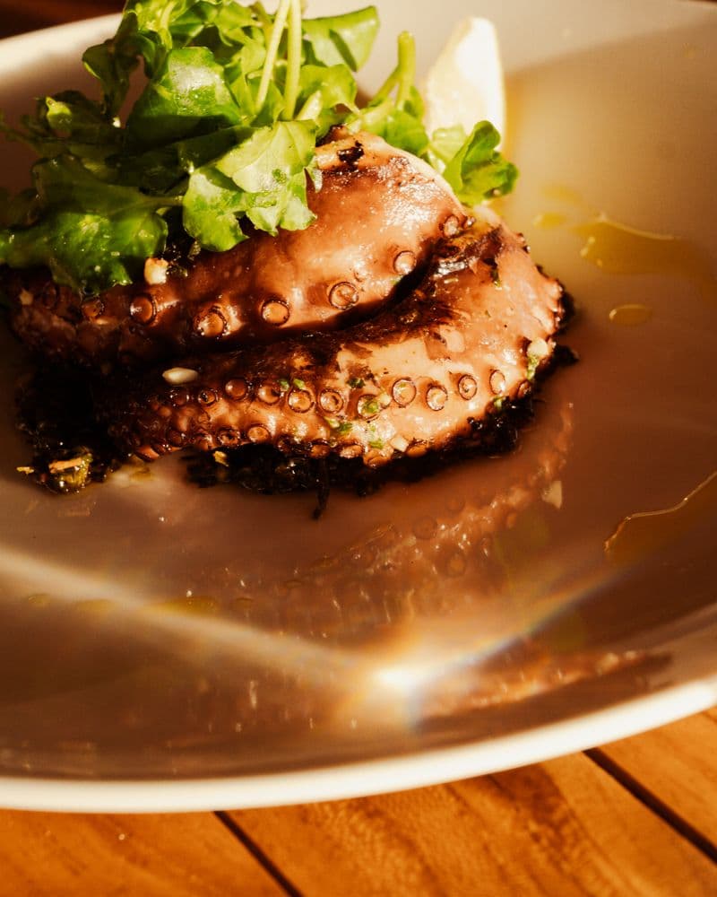 Charred octopus tentacle over saffron potato, dressed with herb oil